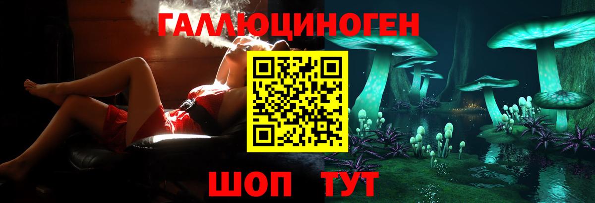 Амурск  Псилоцибиновые грибы Psilocybine cubensis  Вход с VPN  Галлюциногенные грибы Cubensis 